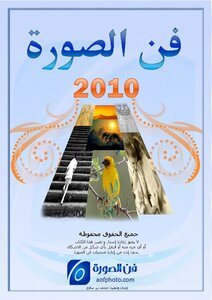 فن الصورة