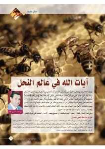 آيات الله في عالم النحل