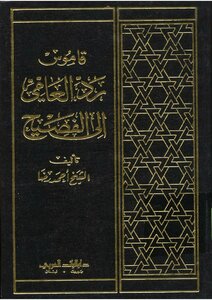 قاموس رد العامي إلى الفصيح - نسخة مصورة