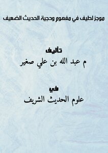 Nice Summary In The Concept And Authenticity Of Weak Hadith