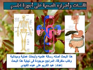 Khat And Its Health Effects On The Body’s Organs