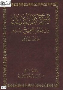 شرح كتاب الإيمان من مختصر صحيح مسلم للحافظ المنذري - نسخة مصورة