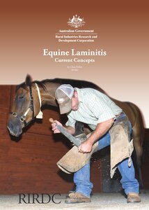 Equine Laminitis - Current Concepts