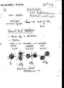 Organic Chemistry Notes