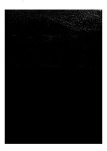 The Complete Works. Naguib Mahfouz. Part Four