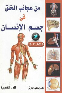 One Of The Wonders Of Creation In The Human Body