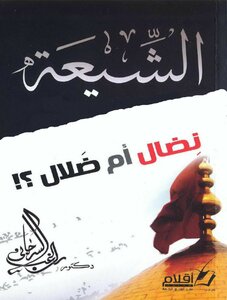 Shia Struggle Or Delusion?!