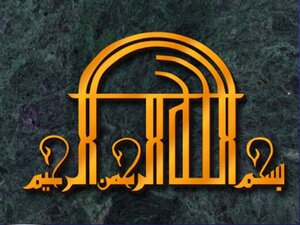 رعاية الطفل حديث الولادة وقبل السن المدرسي