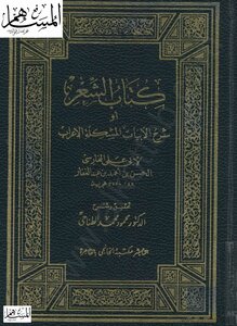 A Book Of Poetry Or An Explanation Of The Verses - The Problem Of Syntax