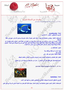 الأسماك البحرية