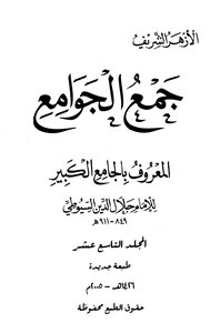 The Collection Of Mosques Known As The Great Mosque - Volume Nineteen