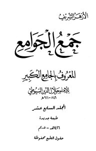 The Collection Of Mosques Known As The Great Mosque - Volume Seventeen
