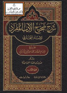 Explanation Of True Singular Literature