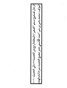 The Men Of Sahih Muslim Al-sagheer With Menna Al-mun’im In Sharh Sahih Muslim By His Eminence Sheikh Safi Al-rahman Al-mubarakpuri And With The Identification And Verification Of Men And The Ambiguous Books From Verified Books And Details About Them From