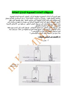 إستهلاك المادة العضوية لإنتاج الطاقة