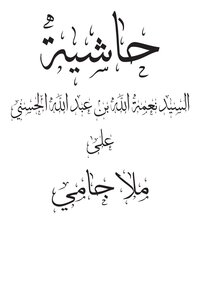 Entourage Of Mr. Nimatullah Ali Mullah Jami