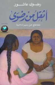 Hethel Than Radwa: A Biography Of Radwa Ashour
