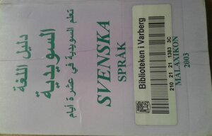 Swedish Language Guide