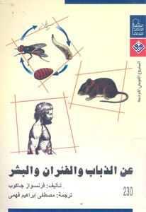 About Flies - Mice And Humans