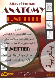 تشريح الظهر#والنخاع الشوكي