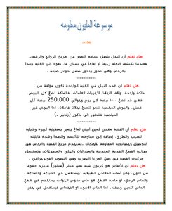 Encyclopedia Of A Million Information