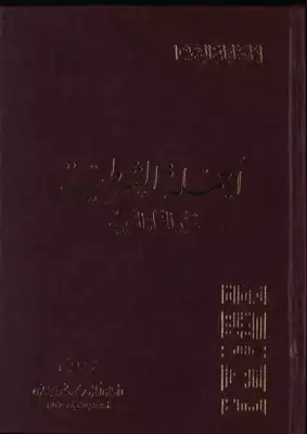 1238 كتاب الجملة الشرطية عند النحاة العرب  