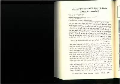 مدلولات فن زخرفة الشاحنات وكتاباتها ورسومها (قراءة سوسيو أنتروبولوجية( ندى الطويل و حسين أبو رضا  ارض الكتب