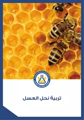 تربية نحل العسل 21  