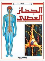الجهاز العصبي (سلسلة جسم الانسان)  ارض الكتب