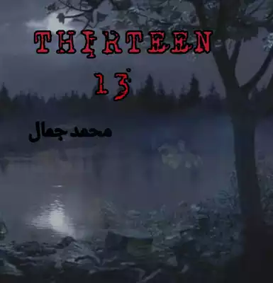 رقم 13  ارض الكتب