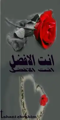 انت الأفضل  ارض الكتب