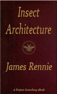Insect Architecture ارض الكتب