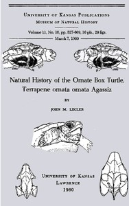 التاريخ الطبيعي لسلحفاة الصندوق المزخرفة ، Terrapene o r nata o r nata Agassiz  
