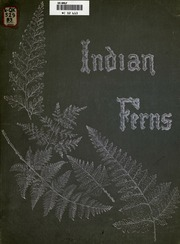 ألبوم السرخس الهندي: مستنسخ في الطباعة الحجرية الملونة من الرسومات الأصلية بالألوان المائية  ارض الكتب