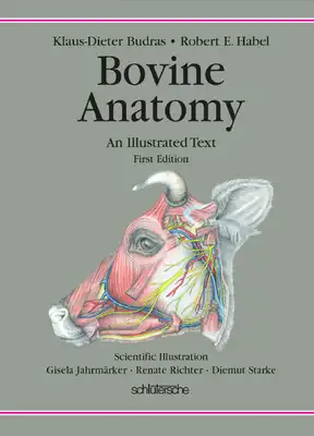 Download book Bovine Anatomy An Illustrated Text PDF - Noor Library