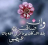 الناشر بالمكتبة هو المؤلف