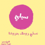 Noura Mahmoud 