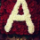 Abd Alrhman
