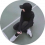 sarabenchaa