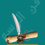 الناشر بالمكتبة هو المؤلف