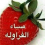 Ziad Nabil