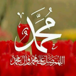 Yahia Wael 