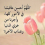 فاروق مجاهد