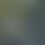 علي نبيل شكر عبد علي