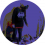 بنين احمد