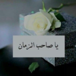 Abrar Alkaabi 