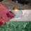 Abdalla Elzwedy