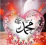خالد ناصر