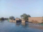 معتصم ود نور الشيب