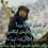 سعيد الهنائي